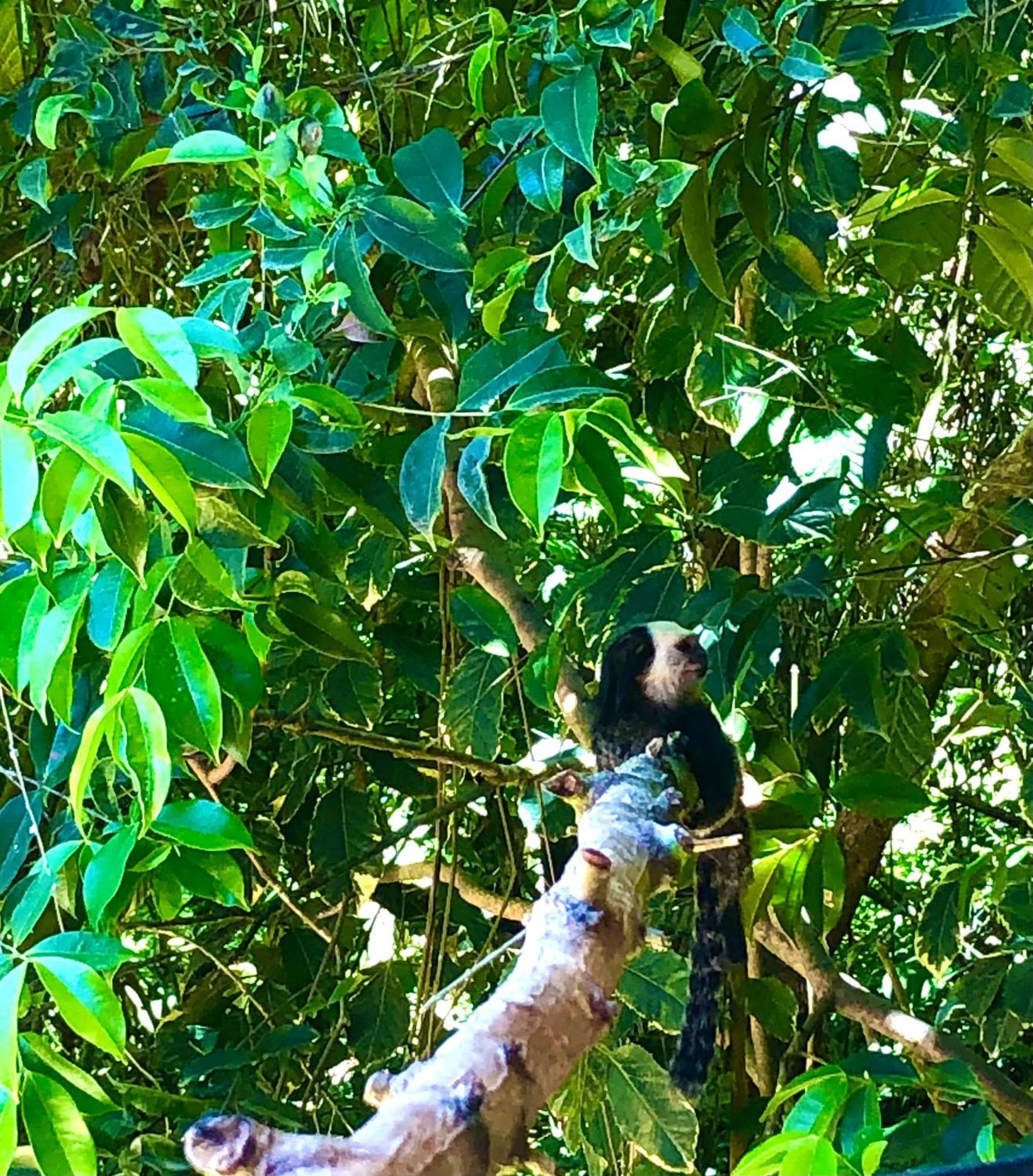 Eliza, Bangalo Vista Mar Em Trancoso Villa Eksteriør billede